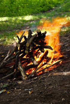 Scenic burning woods in yellow fire outdoor