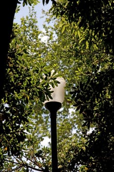 View of a street lamp on a public park surrounded by tree leafs.