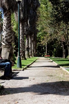 View of a public park where a man sits on the bench and works on the laptop.