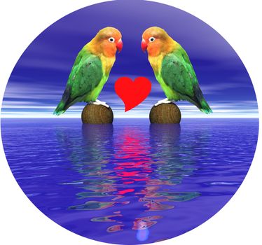 Two loving agapornis-fischeri birds looking in the eyes over the ocean and with a heart between them