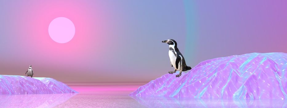 Two penguins walking on icebergs by violet sunset