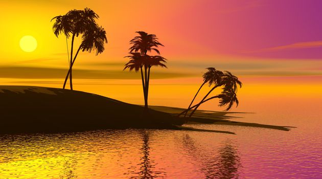 Shadows of palmtrees on a island surrounded by quiet ocean by sunset