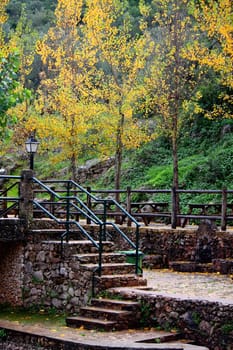 View of some stairs on a park with autumn leafs and trees.