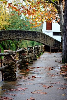 View of an autumn scene with bridge, colorful leafs on trees and pathway.