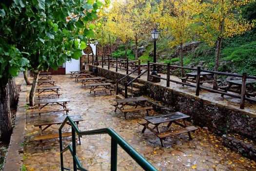 View of some outdoor lunch wooden tables on a city park with many fallen leafs.