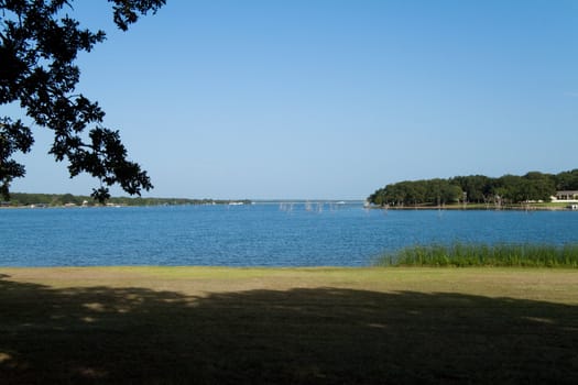 A fishing lake view with several little sticks in the water
