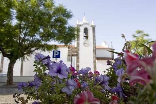 View of some flowers on the village of Sao Bras de Alportel-Portugal.