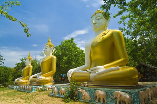 this picture is three image of buddha