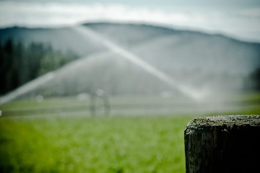 sprinklers fountain on the farm field