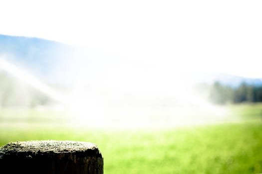 sprinklers fountain on the farm field