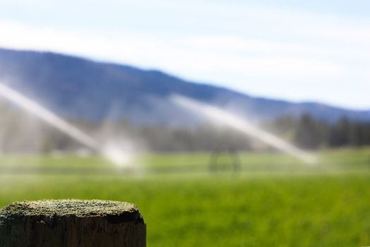 sprinklers fountain on the farm field