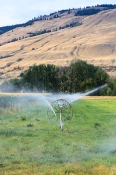 sprinklers fountain on the farm field