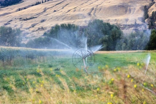 sprinklers fountain on the farm field