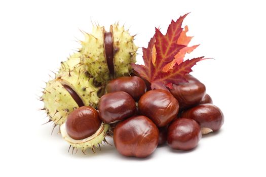 chestnuts and autumn leaves