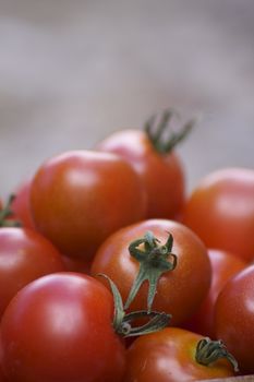 Close up detail of a pile of red freshly picked organically grown tomatoes. Set on a portrait format with room for copy etc above.