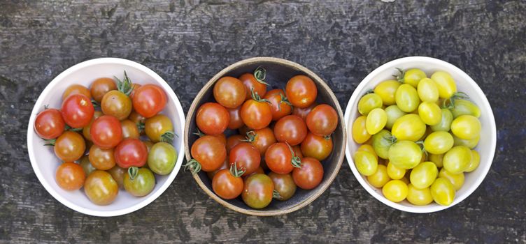 Three bowls of freshly picked and organically grown small red oval and pear shaped yellow tomatoes. A brown ceramic bowl to the middle, with two white bowls either side. Image shot from above.