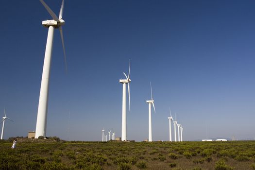 View of a young girl watching a field of windmills.