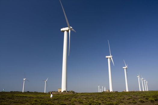 View of a young girl watching a field of windmills.