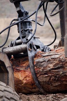 View of a machine operating a raw piece of wood.