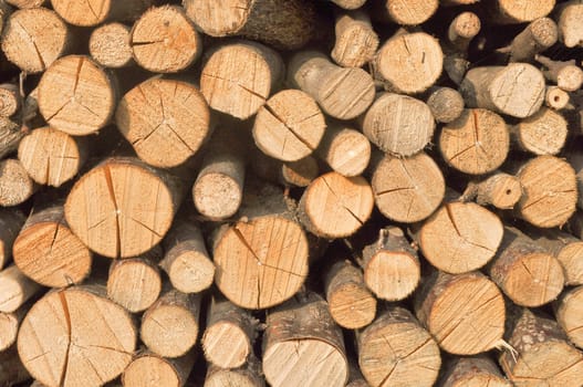 A pile or heap of wood logs