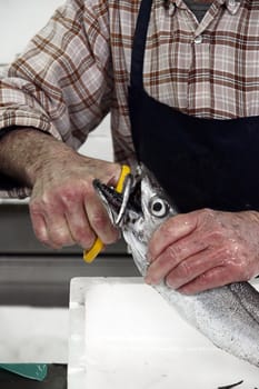 View of a man on the fish market preparing-slicing a fish. 