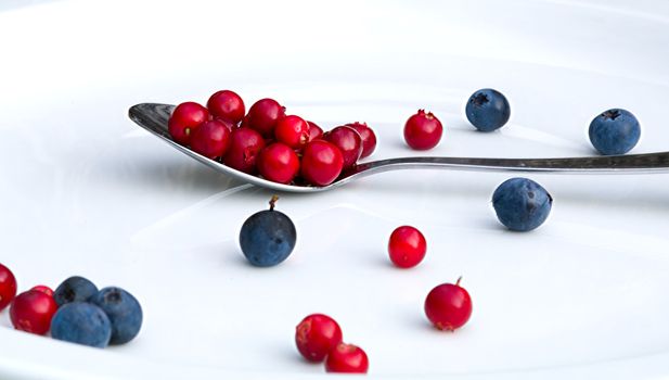 A plate with cranberries and blue berries