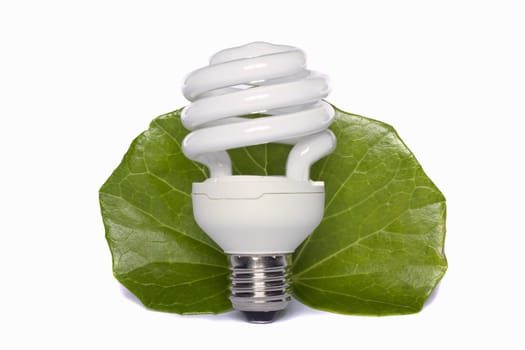 View of a energy efficiency light bulb isolated on a background with vegetation. 