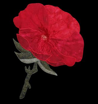 Red Cloth Poppy isolated with clipping path