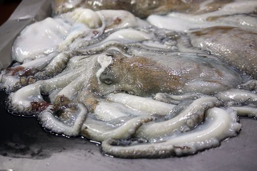 View of a dead octopus at sale on the fish market.