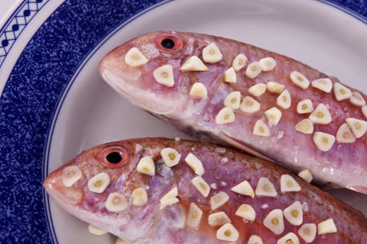 Detail view of two red fish on a plate with garlic on top ready to be made.