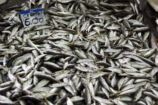 View of a pile of fresh mackerel fishes at sale on the market.