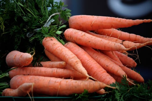 View of fresh carrots on a outdoors street market.