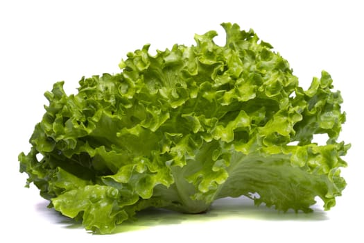 Close view of a green lettuce isolated on a white background.