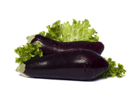 Close up view of an eggplant vegetable isolated on a white background.