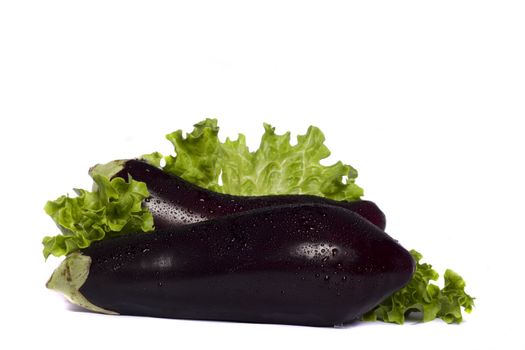 Close up view of an eggplant vegetable isolated on a white background.