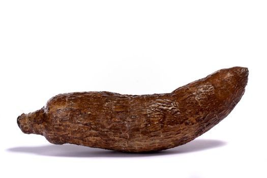 Close up view of the cassava root isolated on a white background.