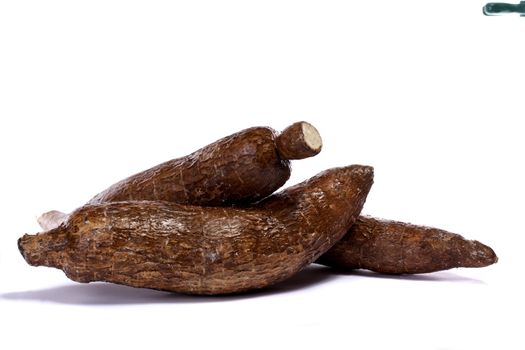 Close up view of the cassava root isolated on a white background.