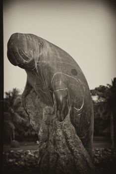 Sculpture in Airlie Beach, Queensland, Australia