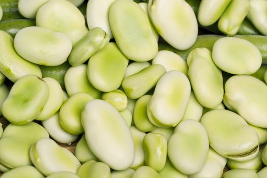 Close up view of some broad beans isolated on a white background.