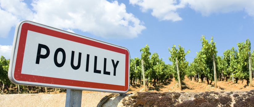 Pouilly, famous french city with wine agriculture