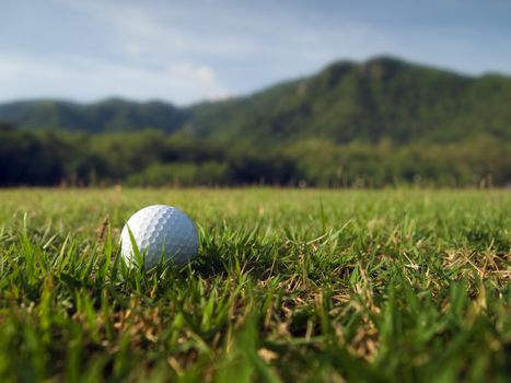 White Golf Ball laying on Green Grass