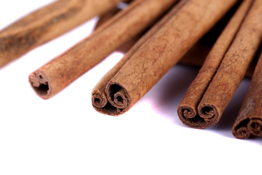 View of a bunch of cinnamon spice quills isolated on a white background.