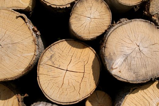 A close up of birch logs, horizontal view, suitable for a background. Photographed in Salo, Finland in August 2010.