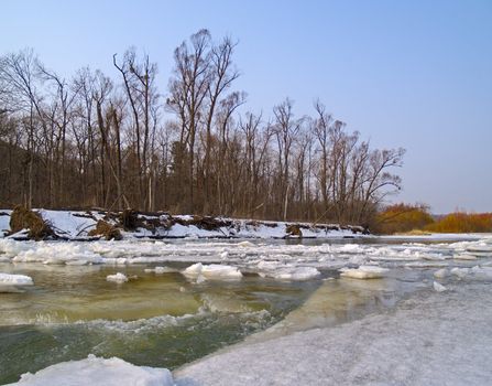 Sunny day on bank of the spring river