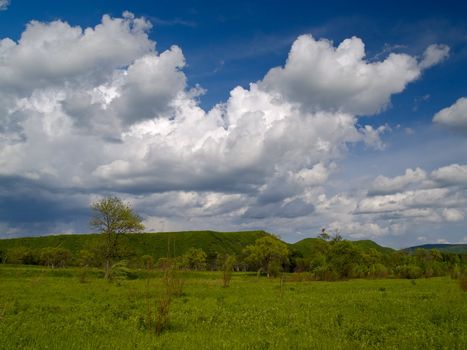 Summer landscape with a green meadow and the cloudy sky