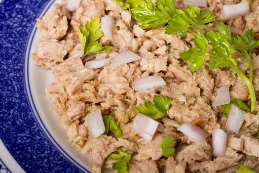 View of a meal of tuna with onion and parsley. 