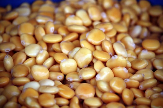 View of a bunch of cooked lupinus albus beans.