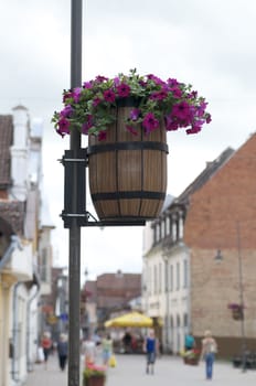 flowers in city