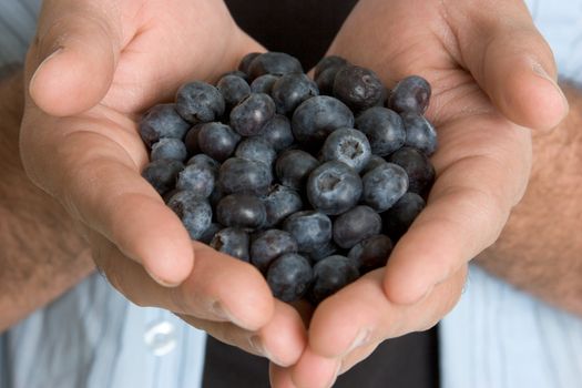 Mans hands holding blueberries