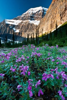 mount edith cavell at jasper national park in alberta canada at sunrise